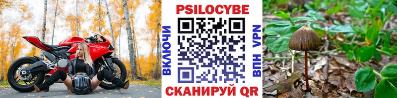 Купить где  Кушва  Псилоцибиновые грибы прущие грибы 