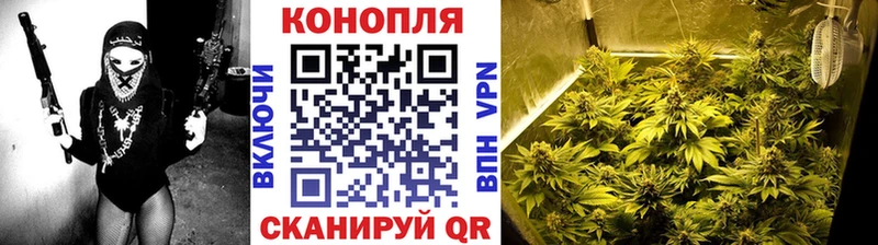 Купить  Кушва  Канабис сатива 